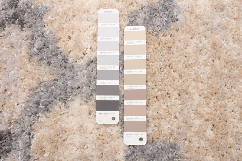 Dimity Tan Area Rug - 3'11\" x 5'7\"