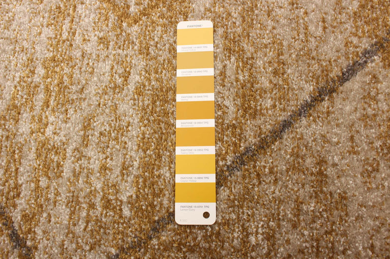 Grande Ivory/Gold 5'3\" X 7'3\" Area Rug