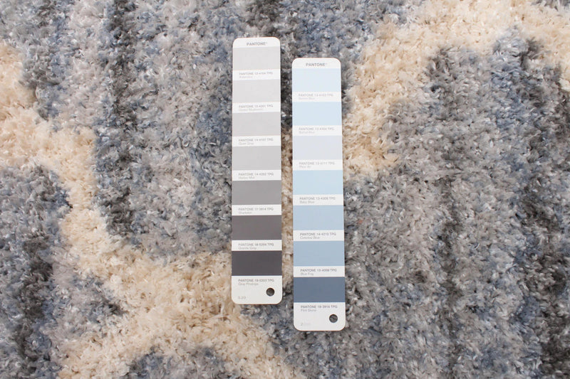 Dimity Grey/Light Blue Area Rug - 6'7\" x 9'6\"