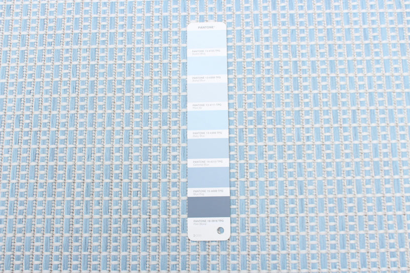 Neisha Classic Light Blue Rug 5'3\" X 7'3\" Area Rug
