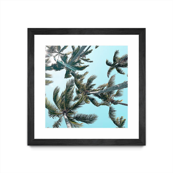 \"Palm 03\" Matted and Framed Black 36x36 Wall Art
