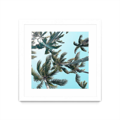 "Palm 03" Matted and Framed White 30x30 Wall Art