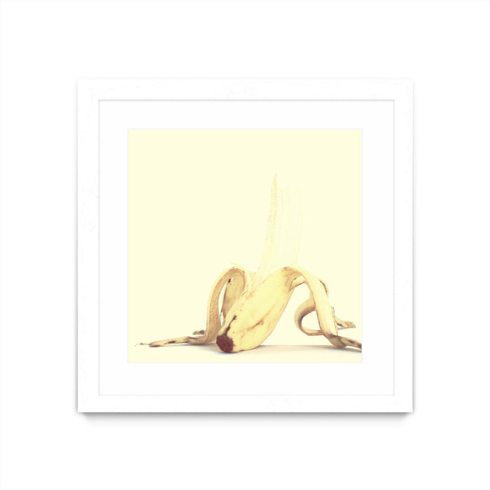 \"Banada Honey Puff\" Matted and Framed White 36x36 Wall Art