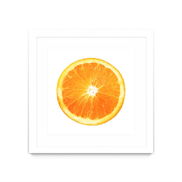 \"Citrus Cultivar\" Matted and Framed White 36x36 Wall Art