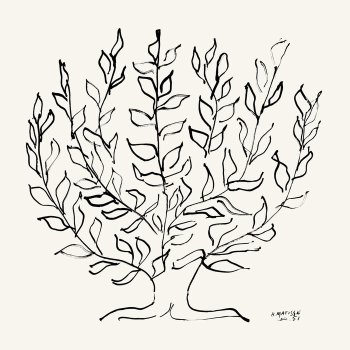\"L'arbre Platane\" Giant Art 72x72 Wall Art