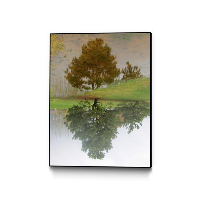 \"I Look At Life On Both Sides Now\" Canvas Framed Black 18x24 Wall Art