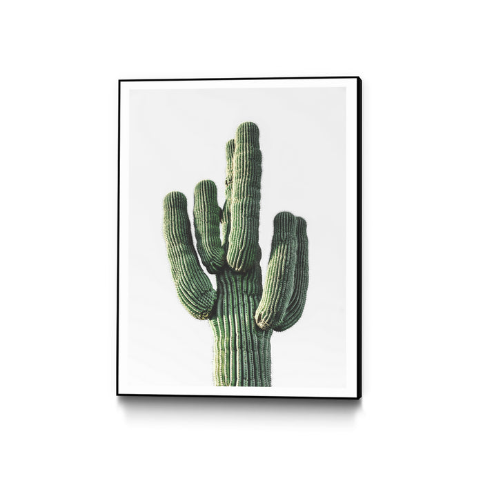 \"Le Cactus\" Canvas Framed Black 30x40 Wall Art