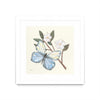 \"In The Garden Butterfly\" Matted and Framed White 30x30 Wall Art