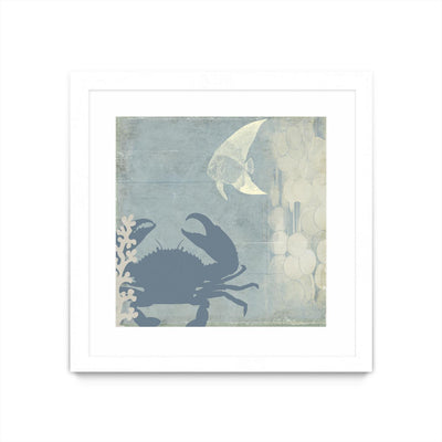 "Ocean Life Ii" Matted and Framed White 30x30 Wall Art
