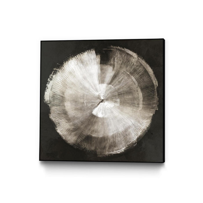 \"Touch Of Silver\" Canvas Framed Black 20x20 Wall Art