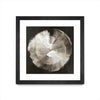 \"Touch Of Silver\" Matted and Framed Black 30x30 Wall Art