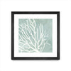 \"Sea Crown I\" Matted and Framed Black 30x30 Wall Art