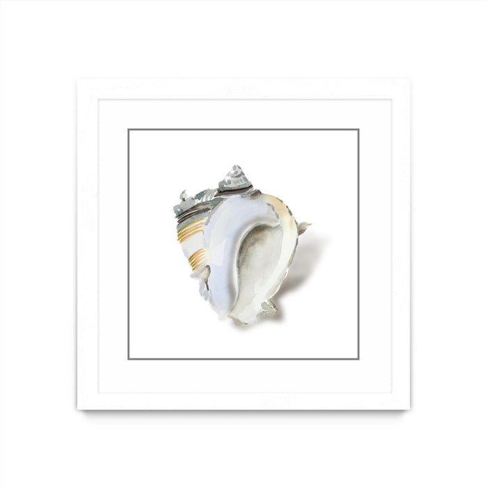 \"Seafoam Shell\" Matted and Framed White 30x30 Wall Art