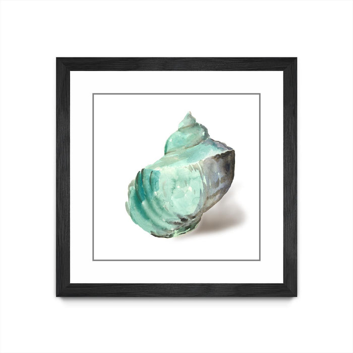 \"Shell In Mint\" Matted and Framed Black 30x30 Wall Art