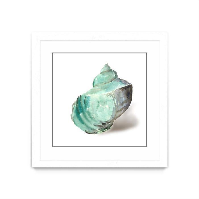 \"Shell In Mint\" Matted and Framed White 36x36 Wall Art