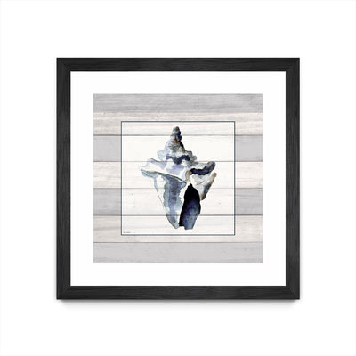 "Muted Blue Sea Conch On Wood" Matted and Framed Black 30x30 Wall Art