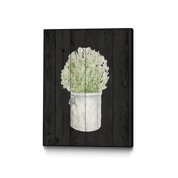 \"Herbs On Black Wood Ii\" Canvas Framed Black 18x24 Wall Art