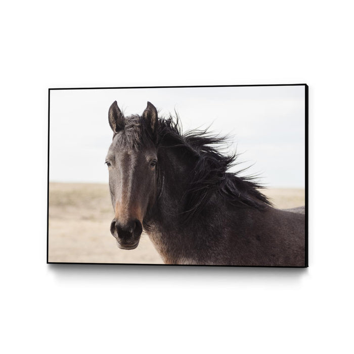 \"I See You\" Canvas Framed Black 36x24 Wall Art