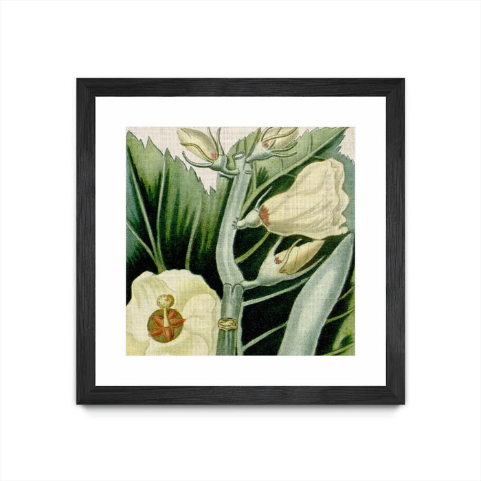 \"Cropped Turpin Tropicals Iii\" Matted and Framed Black 36x36 Wall Art