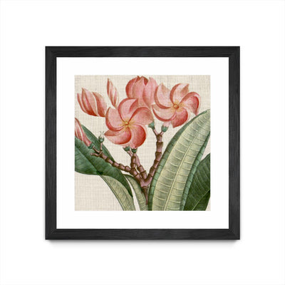"Cropped Turpin Tropicals Vii" Matted and Framed Black 30x30 Wall Art