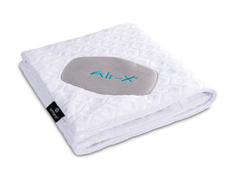 BEDGEAR Dri-Tec® Queen Pillow Protector