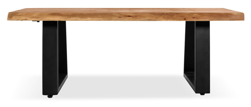 Agra 45\" Rustic Coffee Table - Brown and Black with Iron Legs