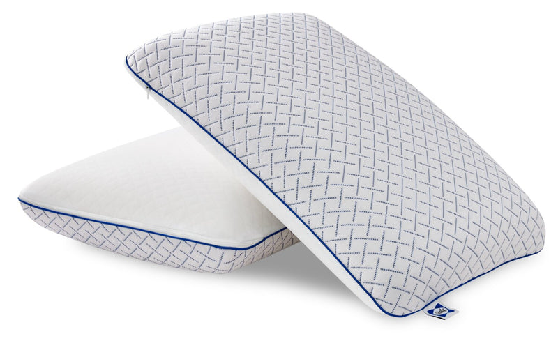 Sealy® Memory Foam Pillow