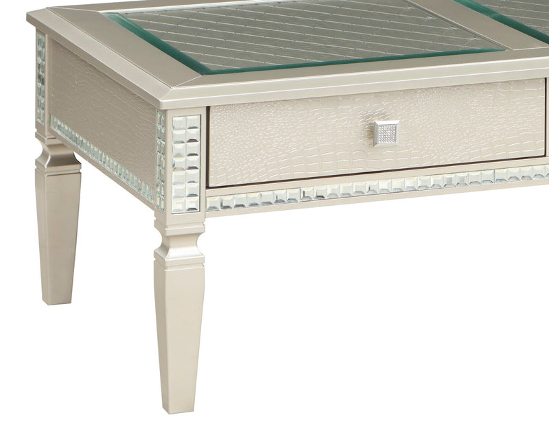 Tyra 48\" Glam Coffee Table with Storage - Champagne  