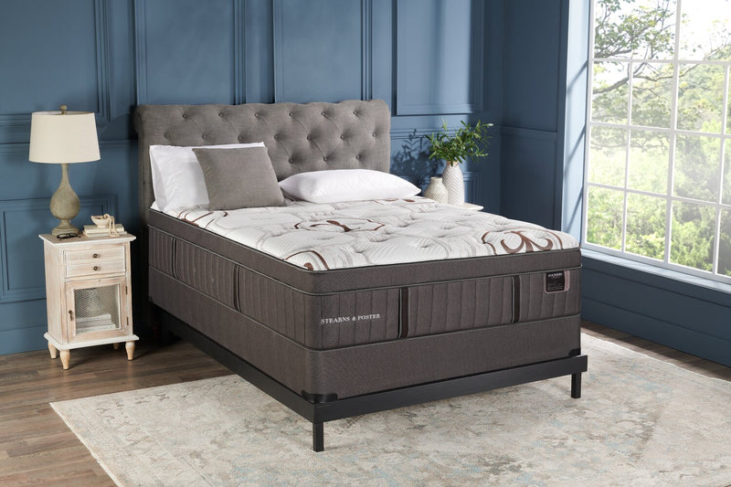 Stearns & Foster Founders Collection Cardiff City Eurotop Queen Mattress