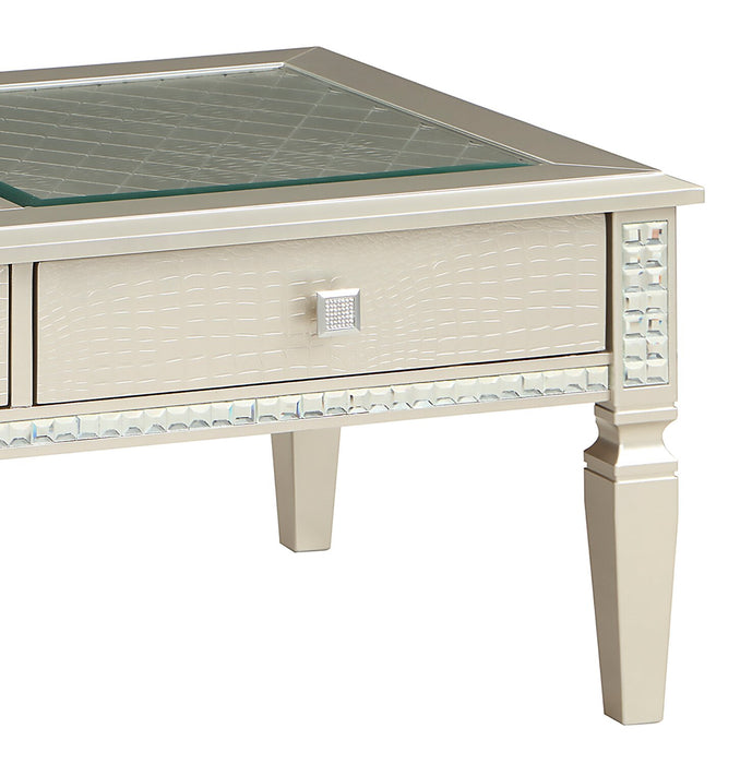 Tyra 48\" Glam Coffee Table with Storage - Champagne  