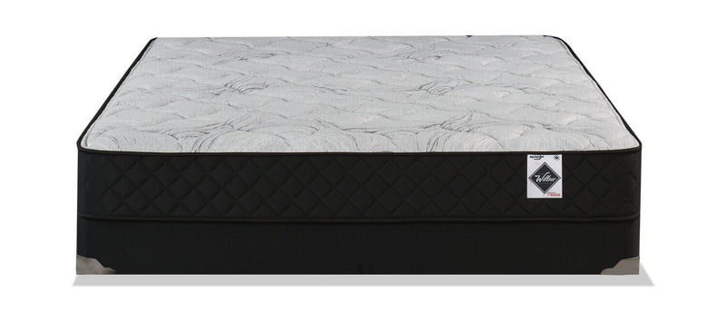 Springwall Autumn Tight Top Low-Profile Queen Mattress-in-a-Box Set
